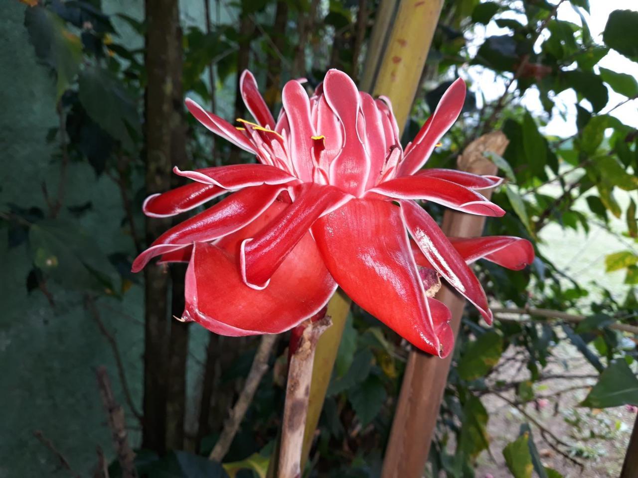Pousada Ubatuba Itagua Luaran gambar